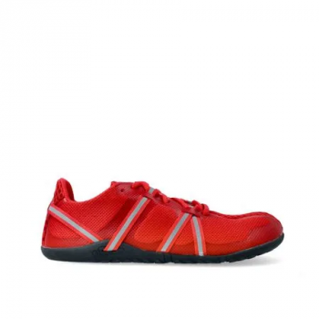 Obrázok pre XERO SHOES Speed Force Red W